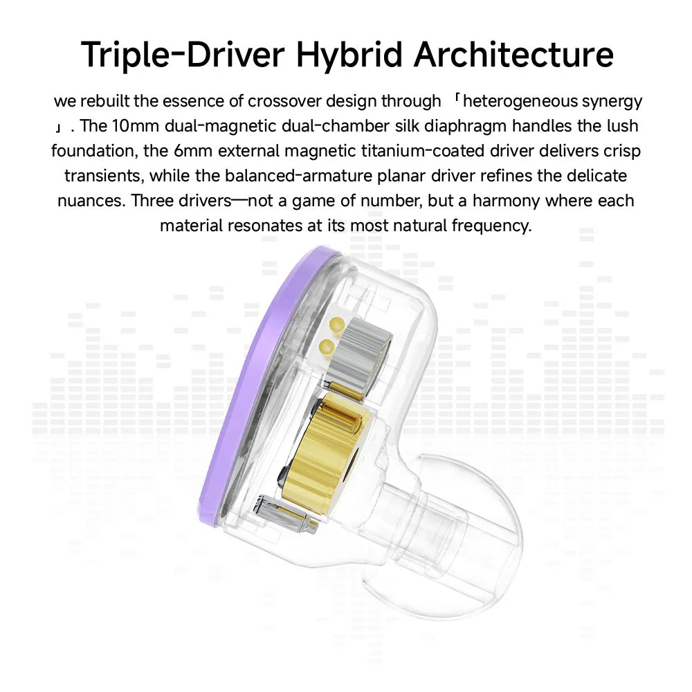 CVJ NOZOMI In-ear Monitor Earphones 2DD+1PD New Planar 3 Unit HIFI Earbuds Interchangeable Panel Nozzle (Anime Collaboration)